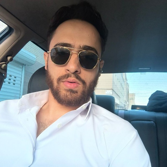 محمد پارسا محمودیان 